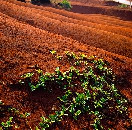 手绘卡通风格治愈系探索解谜游戏《洞窟徒步者》现已正式推出