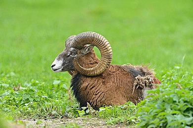 《健身拳击2》免费更新今日上线 加入新教练Leo 