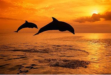 Steam独立武侠《武林志》史低19元“再战紫禁城”版本假想模式登场