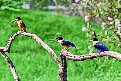 动作潜行游戏《连环清道夫》新预告 支持简繁体中文